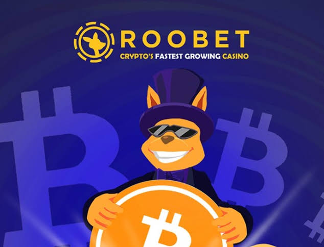 Roobet Online Casino Evaluation - Expert & Gamer Rankings (2026 )